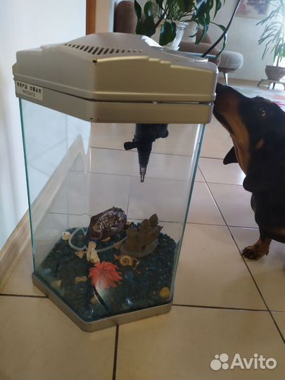 Аквариум Boyu Lj- 300. 22 литра