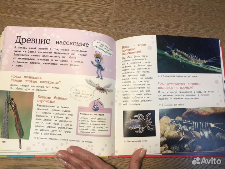 Детская Большая энциклопедия животных