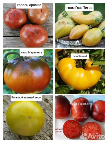Семена помидор для грунта Проект Гном Томатный