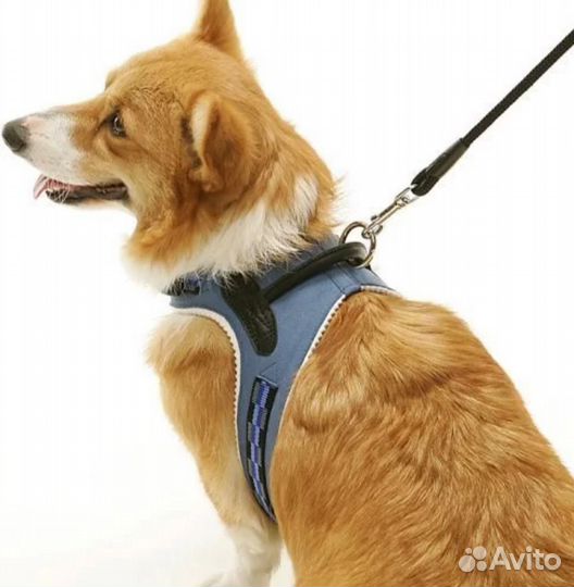 Шлейка-жилетка для собаки