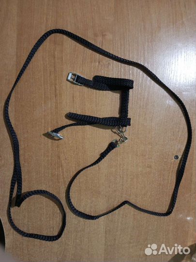 Шлейка с поводком для собак и кошек, ошейник