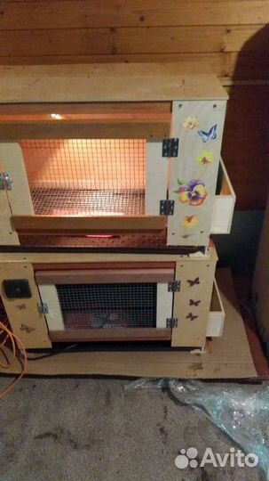 Брудер практичный для цыплят