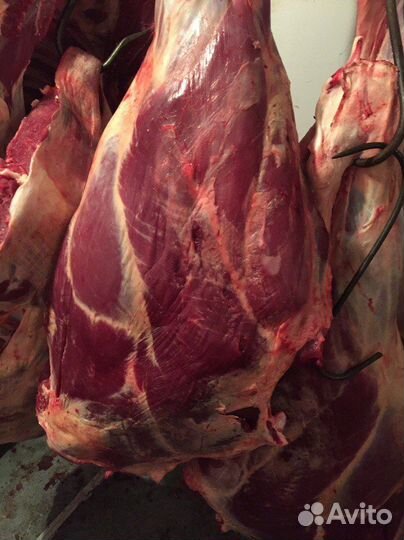 Мясо свинина говядина