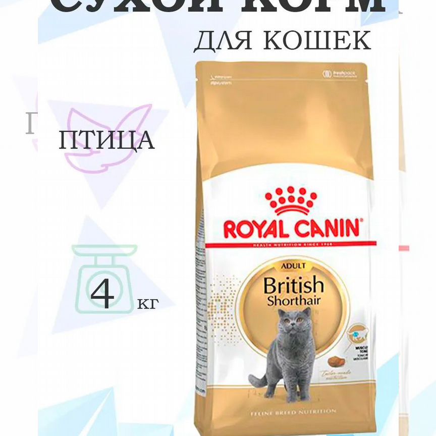 Royal Canin Breed cat British Shorthair / Сухой ко