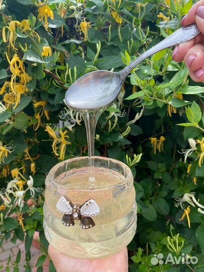 Мёд Майский