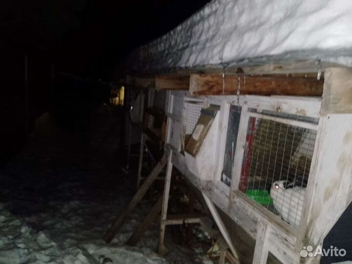 Клетки для кроликов по системе михайлова