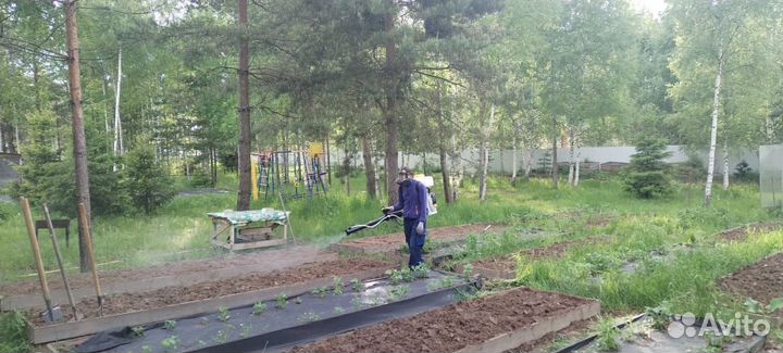 Уничтожение тараканов, обработка от клопов