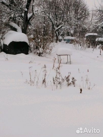 Продам пчел