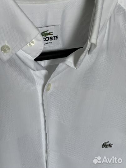 Рубашка lacoste оригинал