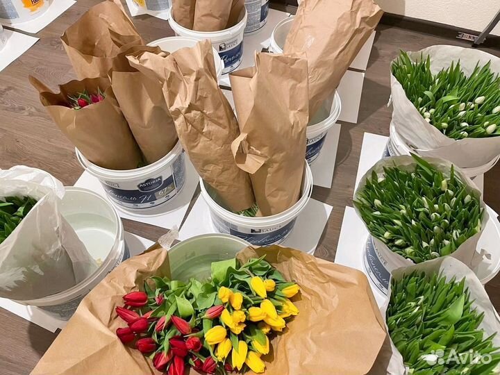 Розовые тюльпаны