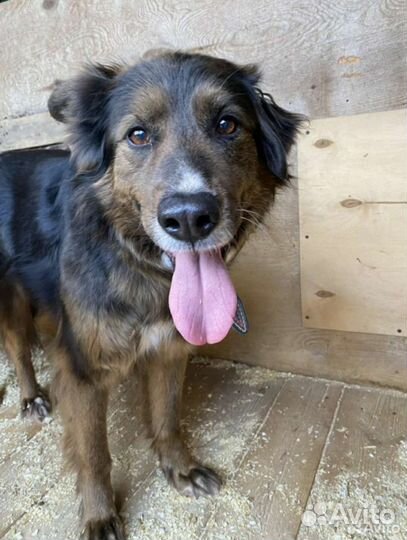 Мудрая и спокойная девочка