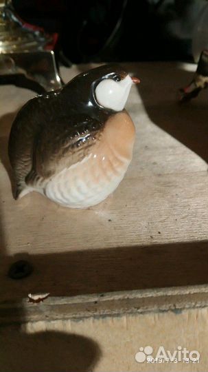 Куропатка лфз состояние