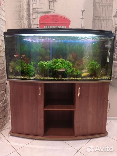 Аквариум 200 литров с тумбой
