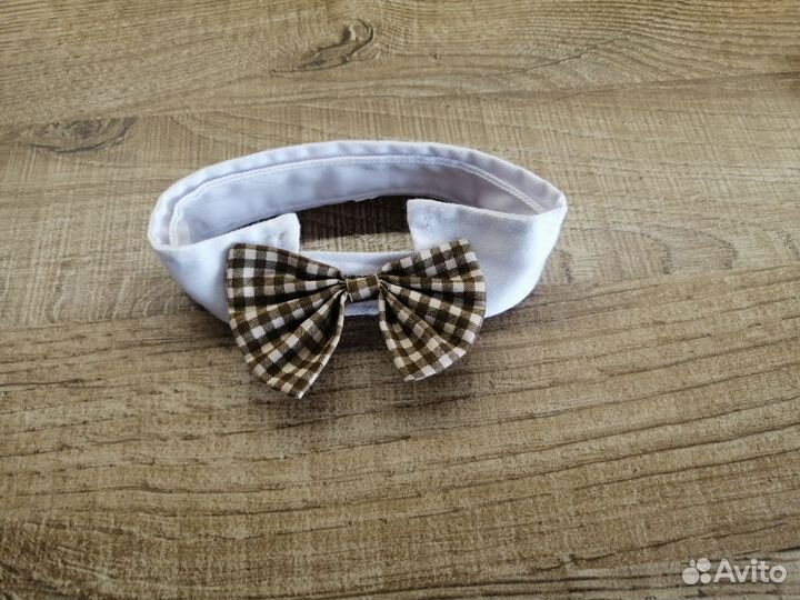 Ошейник для кота