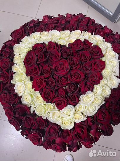 201 роза Сердце Доставка Розы Цветы