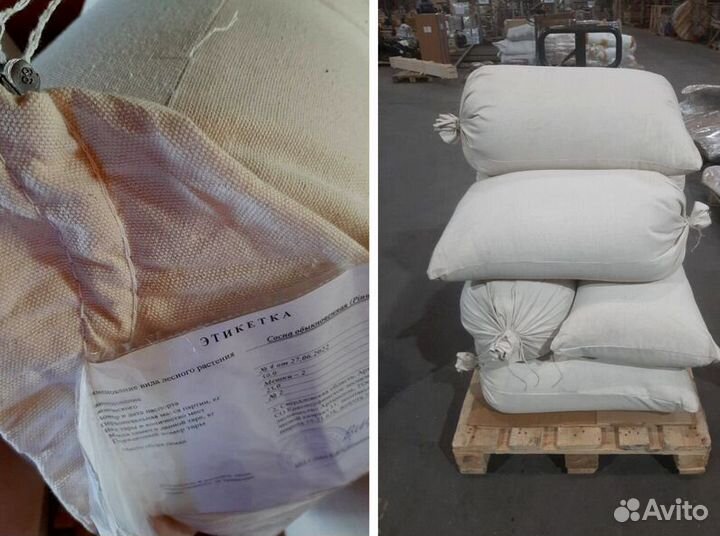 Семена / Ель обыкновенная