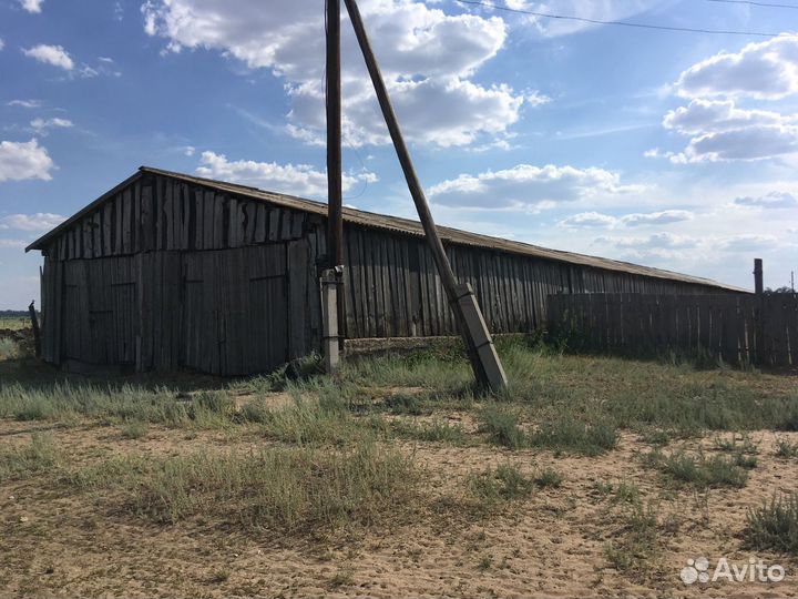 Фермерское хозяйство