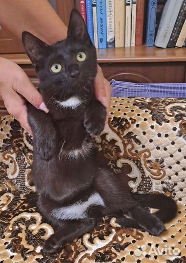 Мальчик Яша 4 месяца