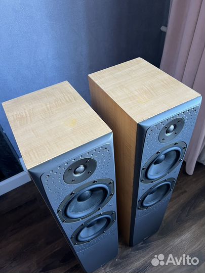 Bowers Wilkins DM 309 Напольные колонки