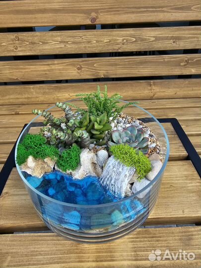 Флорариум с водоемом