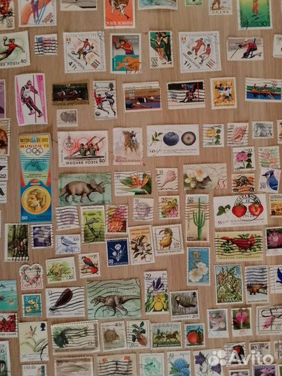 Марки спорт, техника и флора и фауна