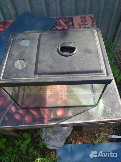 Аквариум для улиток