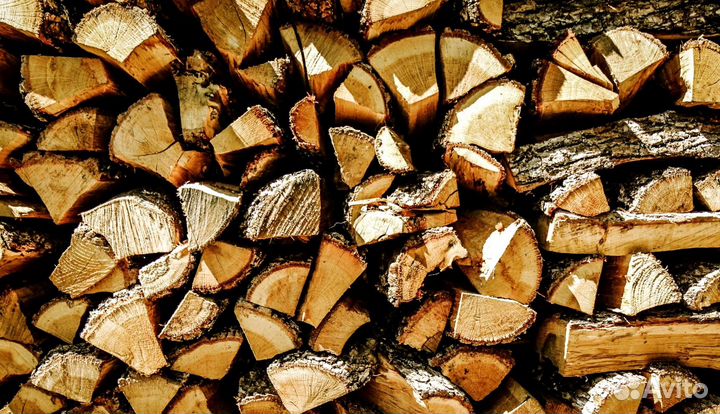 Дрова ясеневые от 4м3