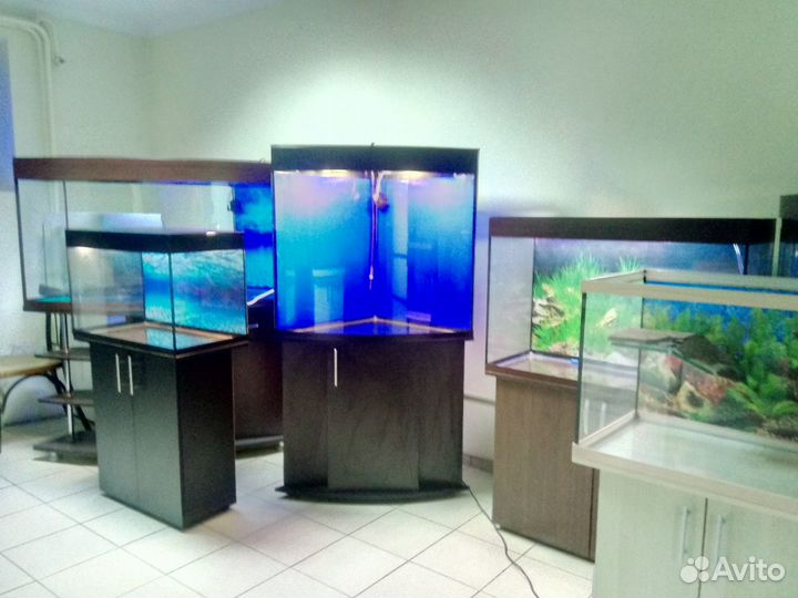 Аквариум200,угловой полукруглый, биофильтр, тумба