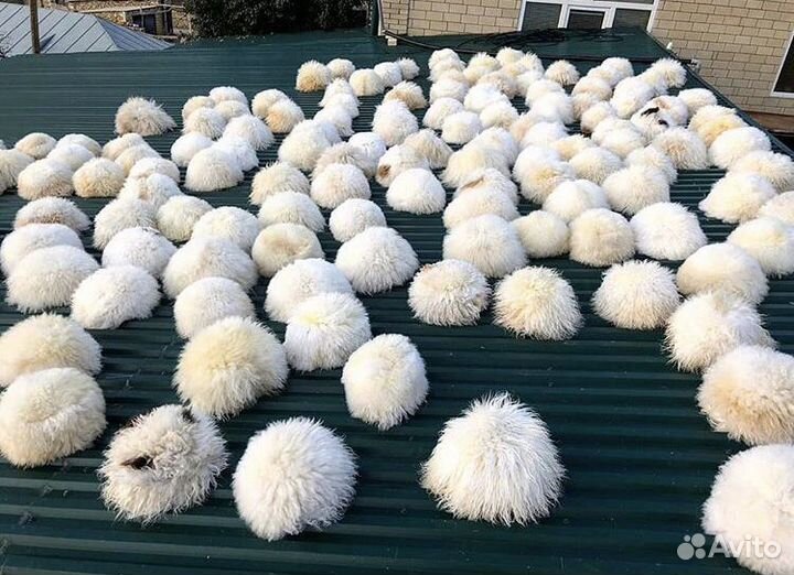 Кубанки папахи