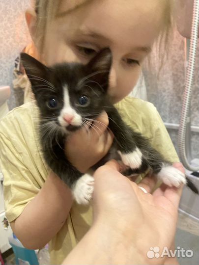 Малышки ищут дом