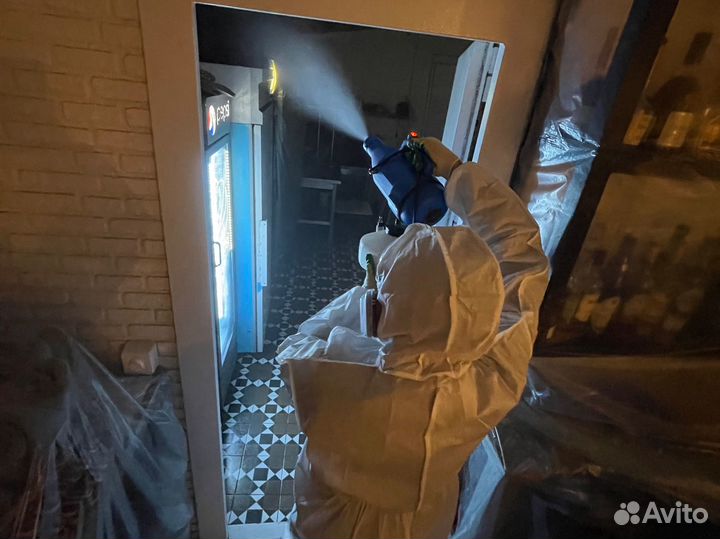 Уничтожение тараканов клопов дезинфекция