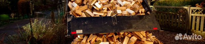 Дрова свежие