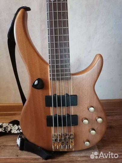 5 струнная бас гитара