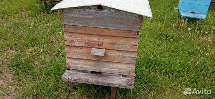 Улей с пчелами