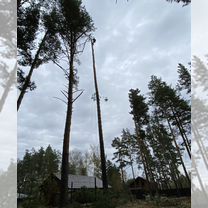 Спил деревьев, расчистка участков, обрезка, Горно-Алтайск