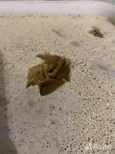 Натуральный мёд, разнотравье, Алтайский, цветочный