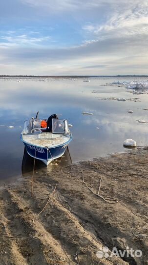 Прогресс 2м и yamaha 40veos