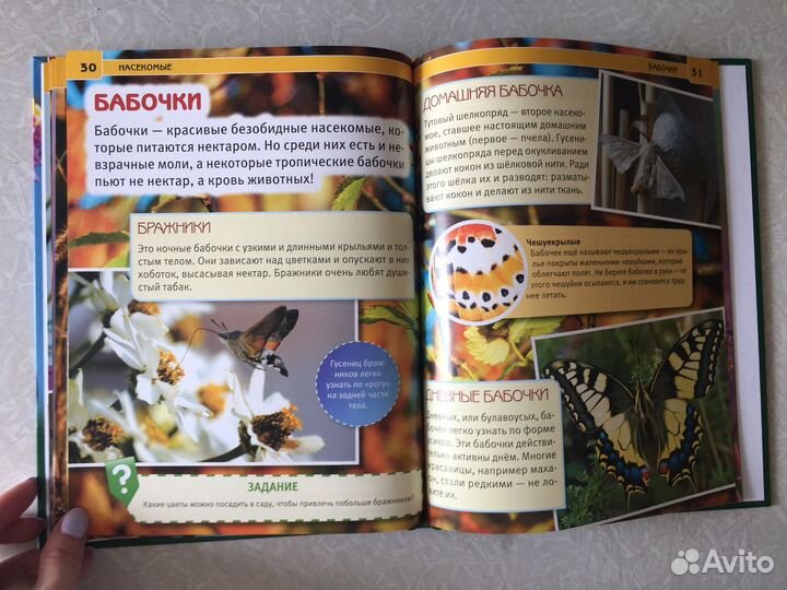 Детская энциклопедия Насекомые