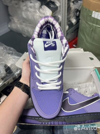 Nike SB dunk low purple Lobster