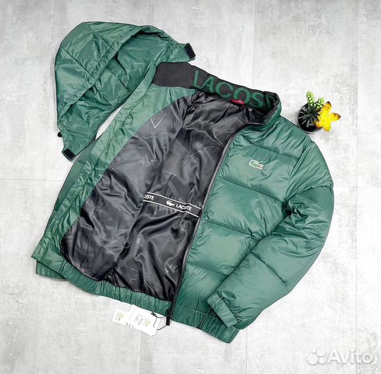 Зимние куртки Lacoste Premium