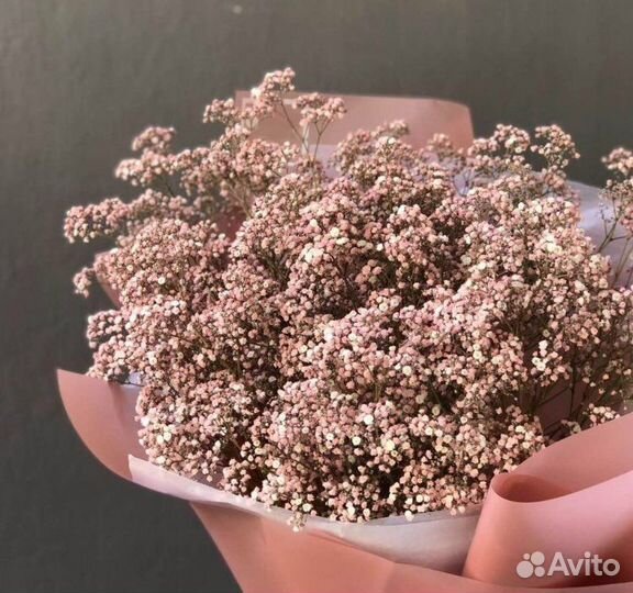 Гипсофила, букет гигант из гипсофилы, доставка