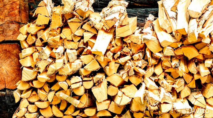 Дрова отборные
