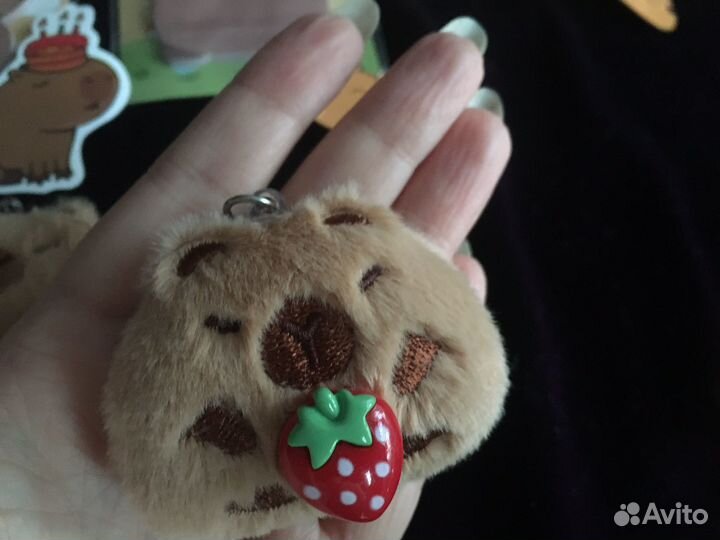 Капибара набор подарочный