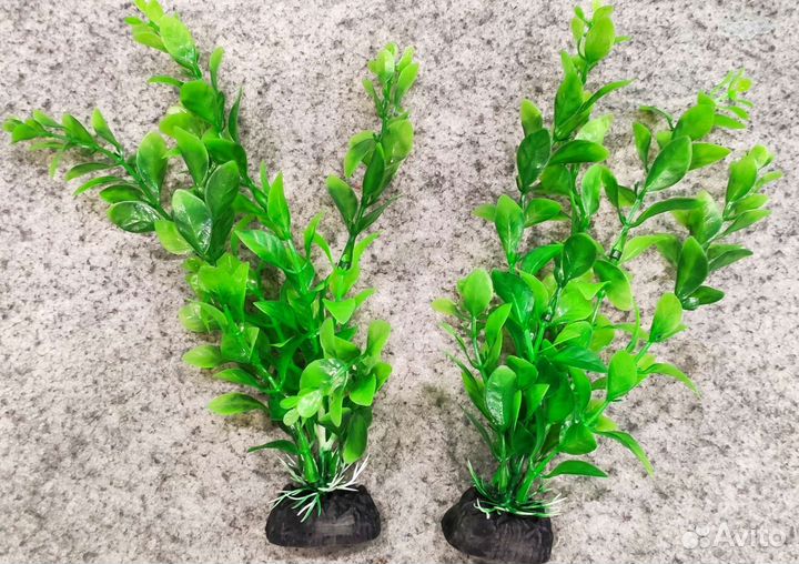 Фон и растения для аквариума