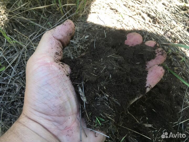 С/х ферма 1165 га