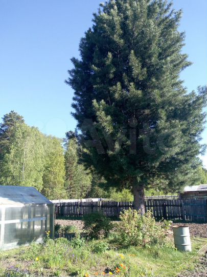 Дача 20 м² на участке 13 сот.