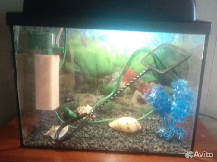 Аквариум