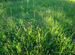 Фото объявления