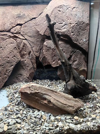 Грунт Rio Xingu