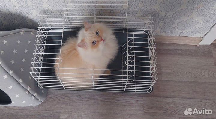 Клетки новые большой выбор